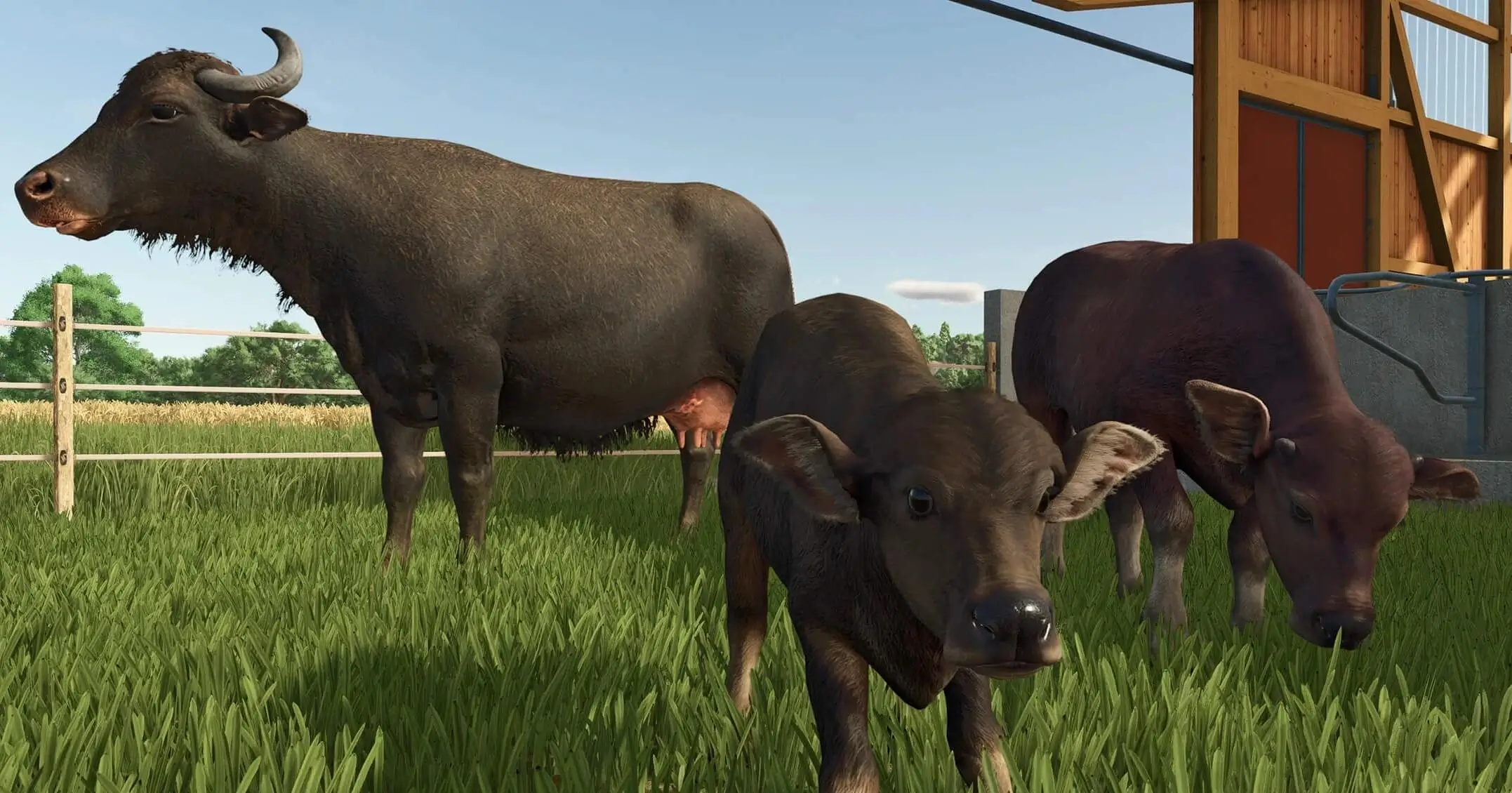 Farming Simulator 25 Recensione